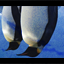 av-75238_zpsbe2790b3.png