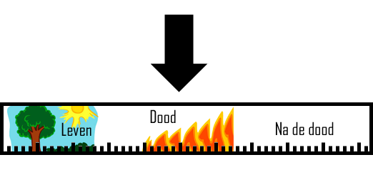 bf91678b.png