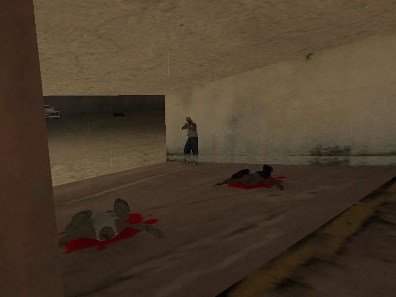 gallery229.jpg