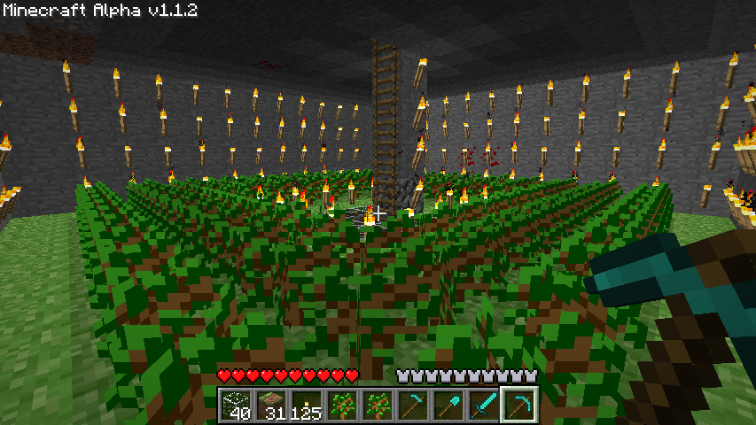 wietplantage-1.png