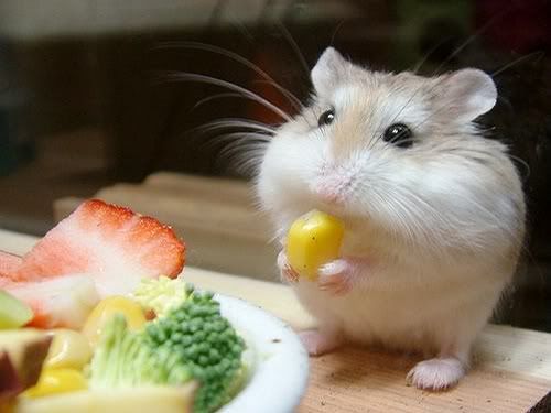 cute quotes and lyrics. cute quotes and lyrics. cute