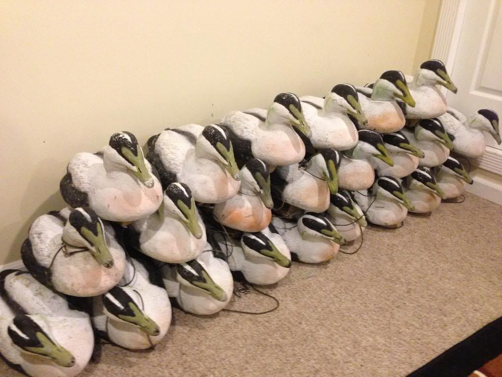 Ure A Duck Sea Duck / Diver decoys for sale Duck Hunting Chat Classifieds