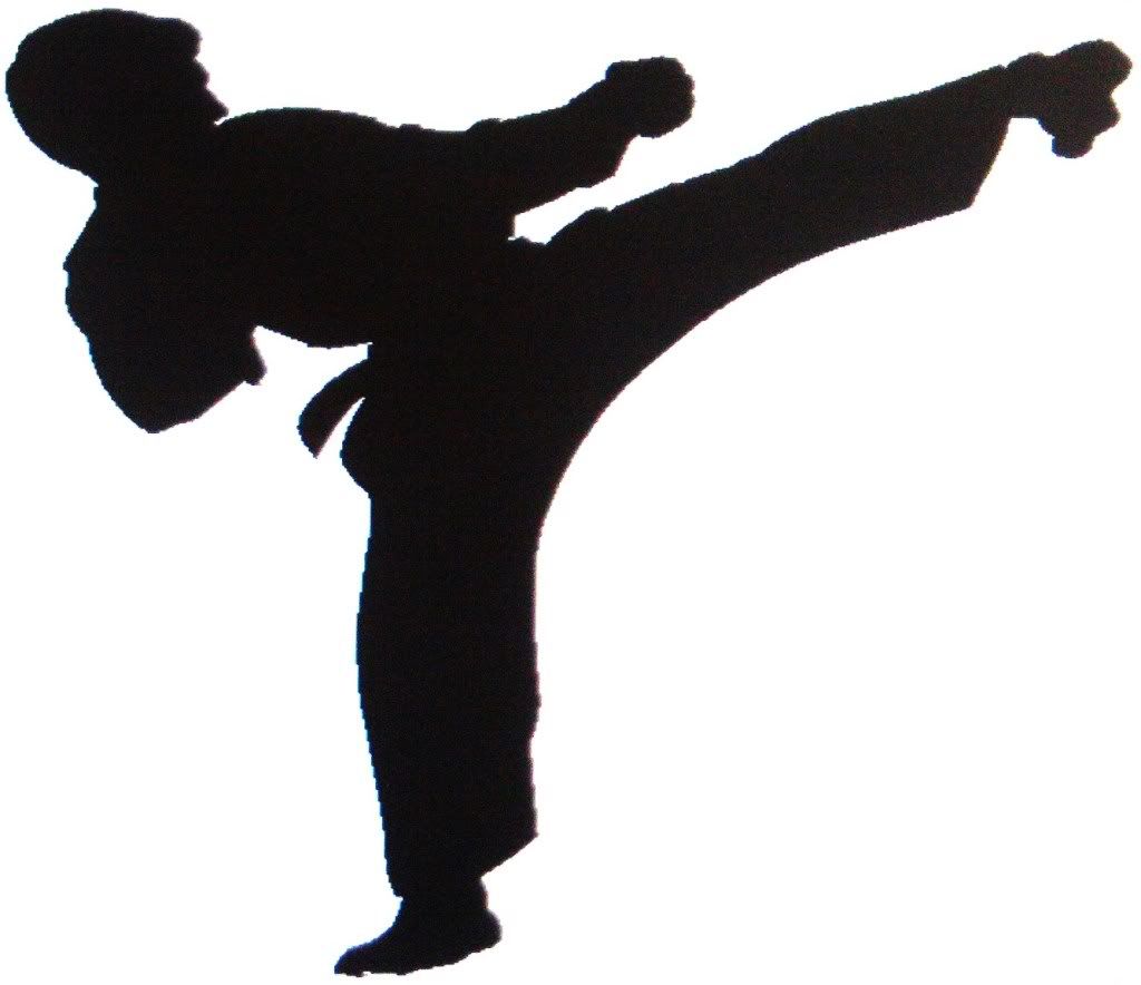 Karate Pictures, Images and Photos
