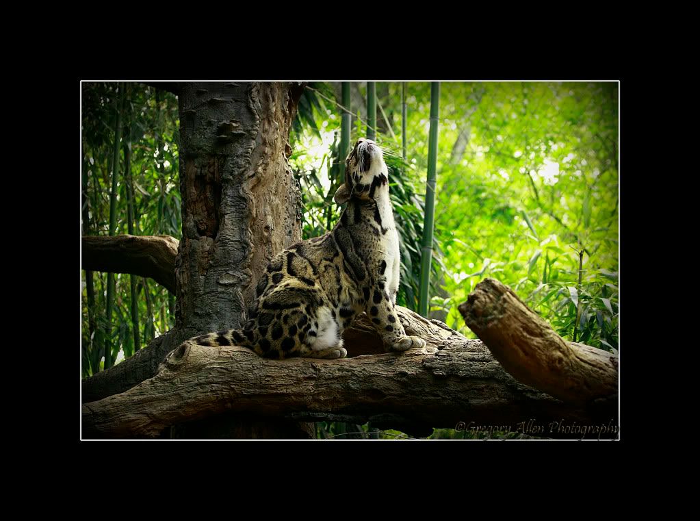 IMAGE: http://i646.photobucket.com/albums/uu185/BigAlz1/2009_05_17_7474.jpg