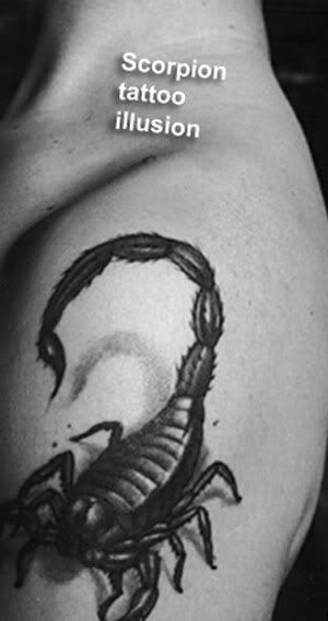 big-scorpion-tattoo.jpg big-scorpion-tattoo.jpg