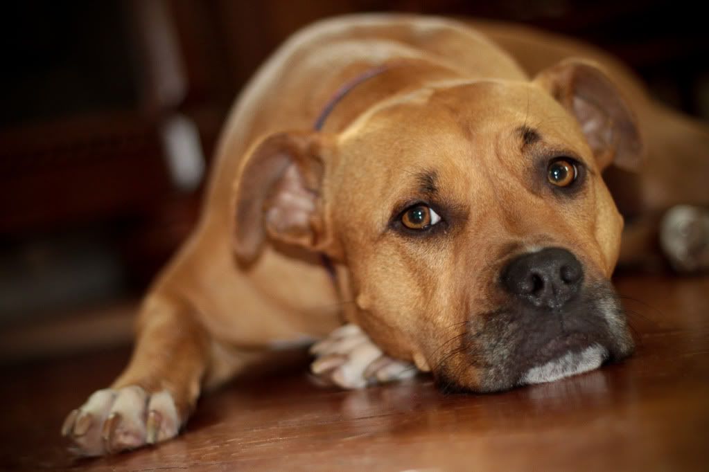 IMAGE: http://i646.photobucket.com/albums/uu185/csearles1952/untitled5of40-1.jpg