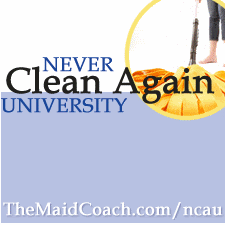Never Clean Again University