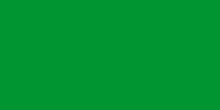 bendera libya