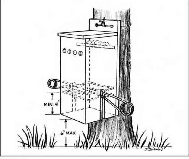 Raccoon Boxes Land Animals & Trapping Archives Trap Line Bulletin
