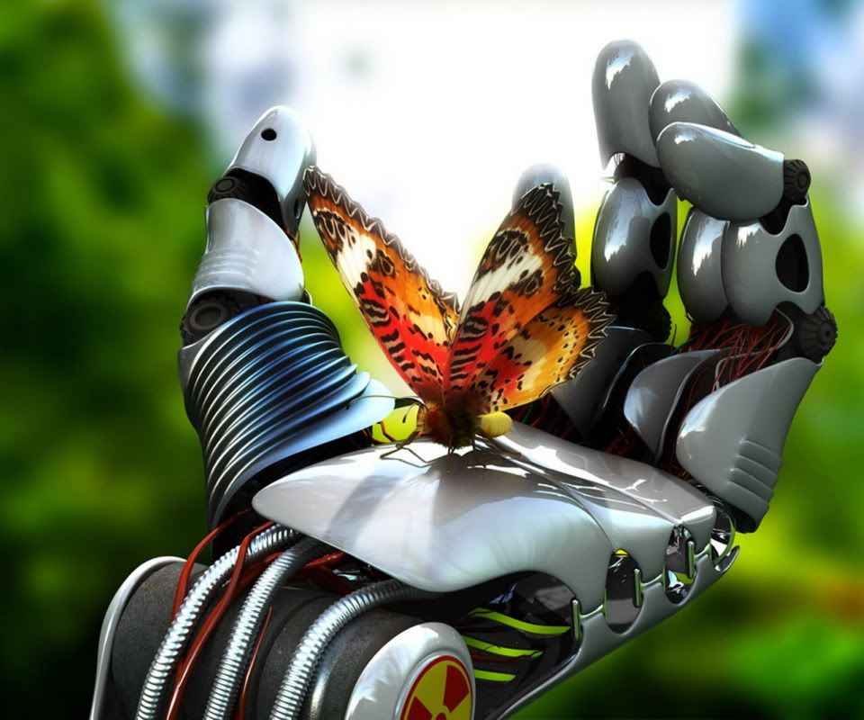 3D-graphics_The_butterfly_on_a_palm.jpg