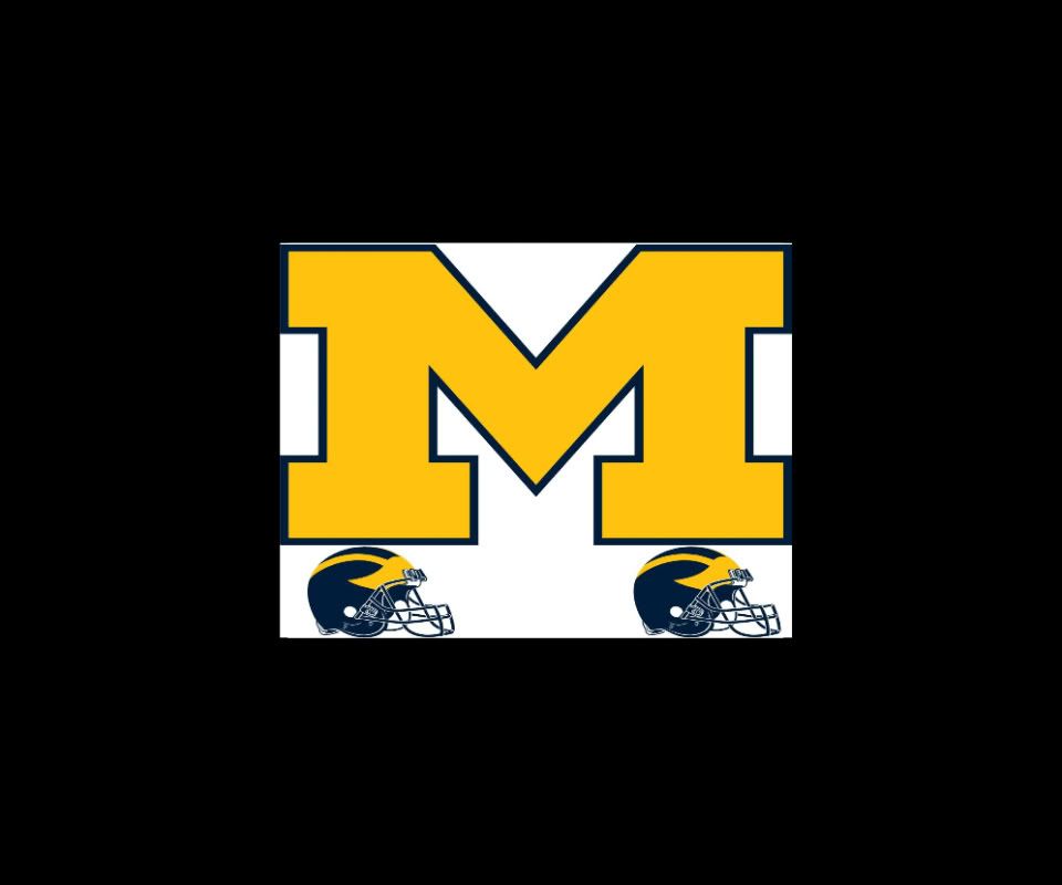 MICHIGAN_WALLMARX_LOGO-1.jpg