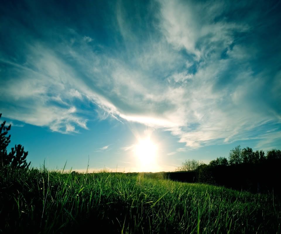 Nature-Full-HD-Wallpaper-national-g.jpg