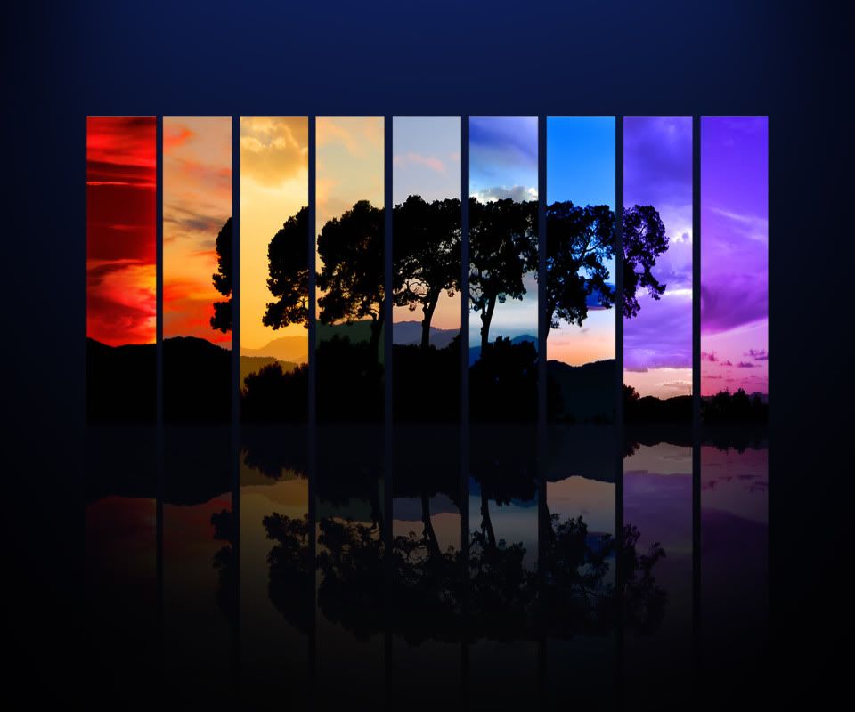 Nature_Sundown_From_Dusk_Till_Da-1.jpg