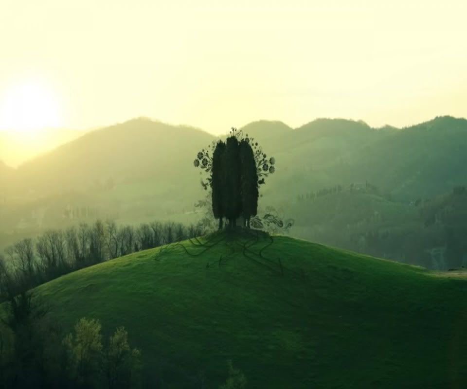 Photoshop_Green_hill_tree_008151_.jpg