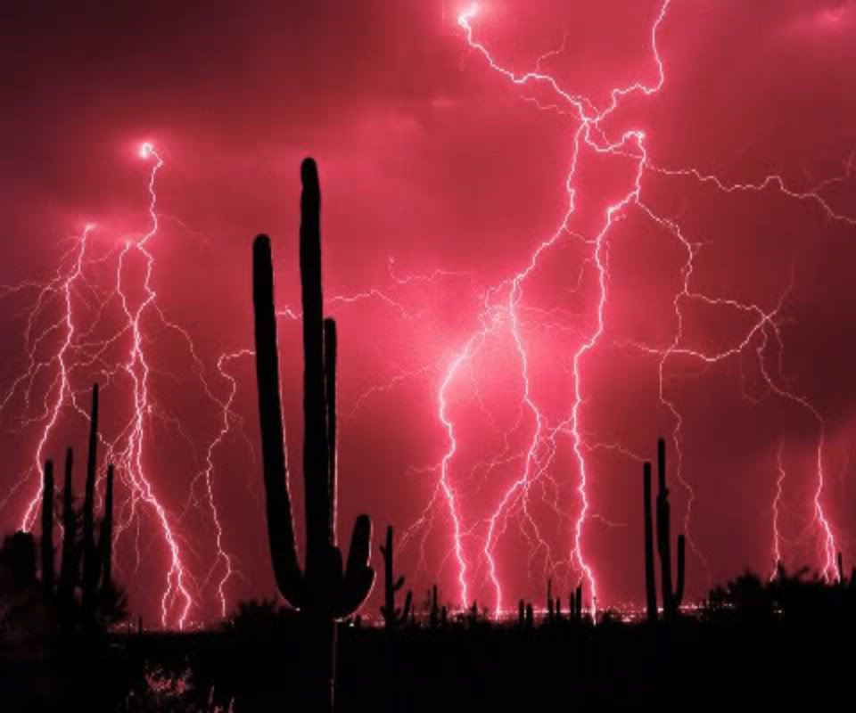 Stormy-Weather-Saguaro-Cactus-2--1.jpg