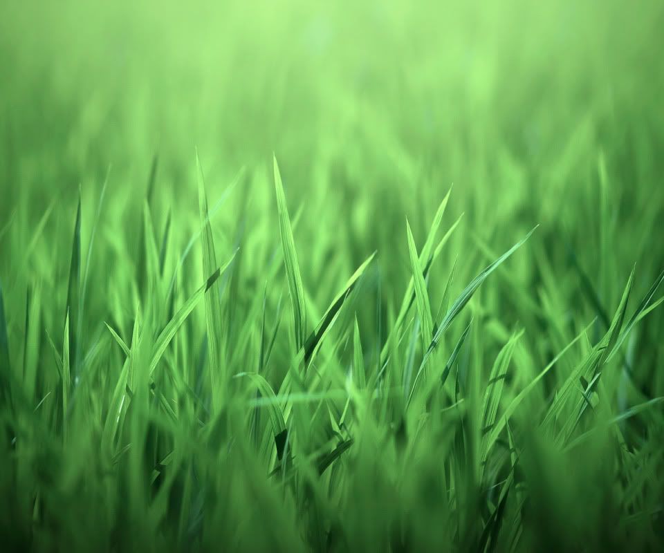 aquagreenhm0.jpg