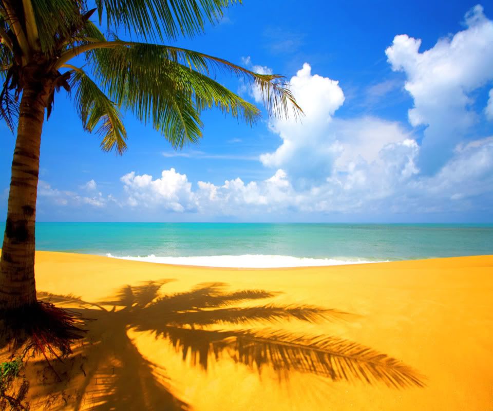 at-the-beach-hd-wallpaper-1440x9-1.jpg