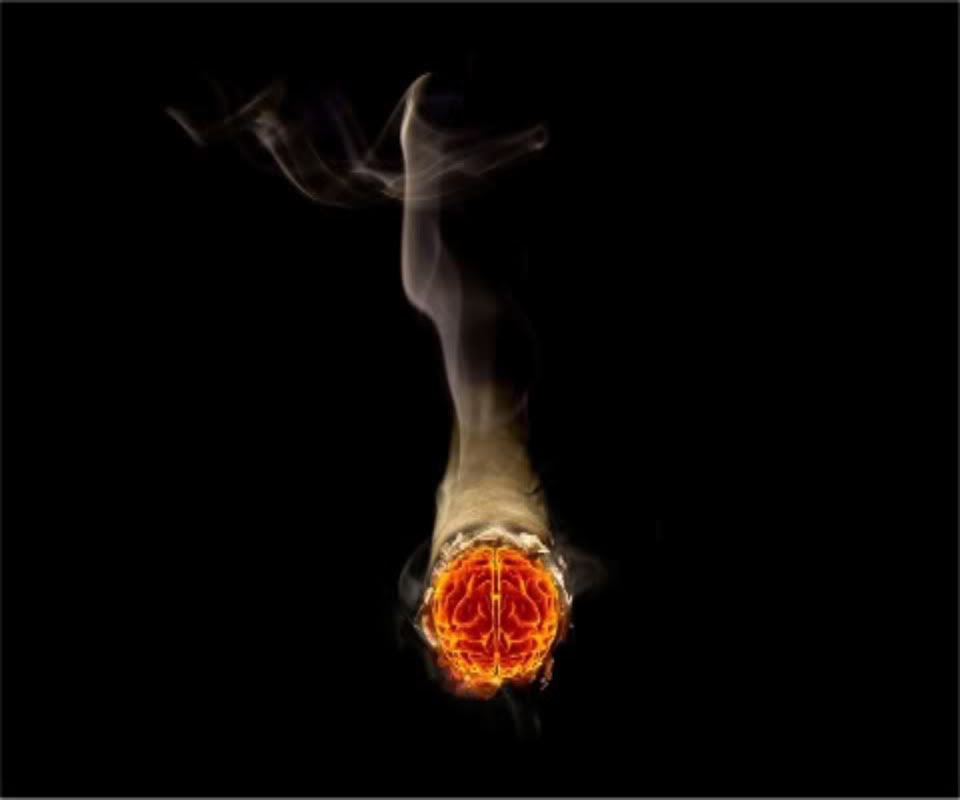 smoking_brain-2-2.jpg