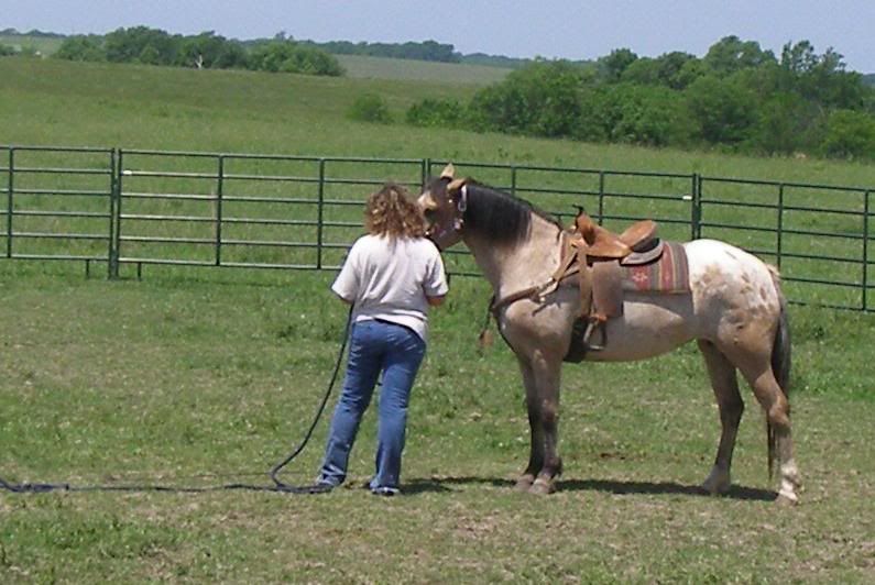 IMAGE(http://i646.photobucket.com/albums/uu187/Double_Bar_R/Horses/I-Pony/060a-1.jpg)