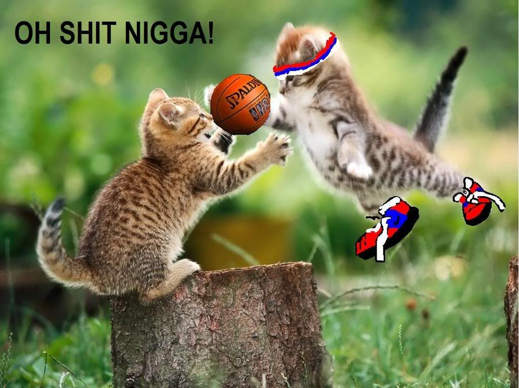 basketballcats.jpg