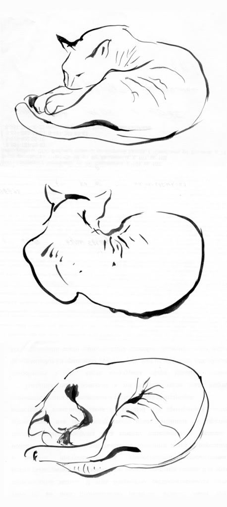 Наброски cat_2