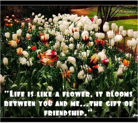 friendship quotes Pictures, Images and Photos