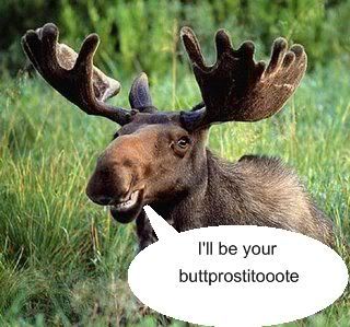 Prostimoose