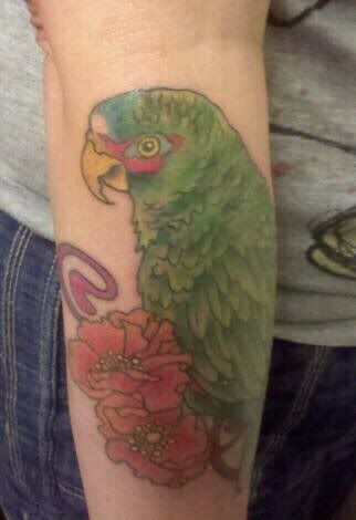 parrot tattoo. Re: Parrot Tattoos