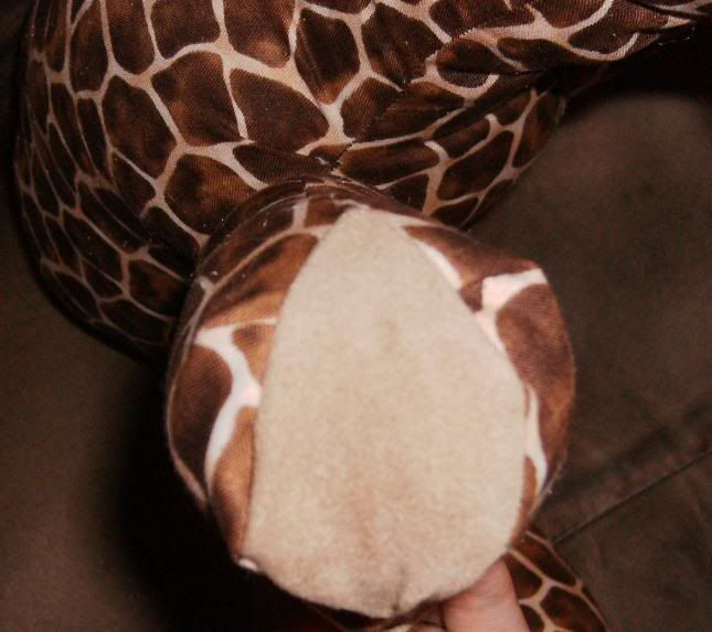 Giraffe Foot