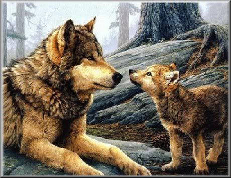 Timber Wolves photo: wolves bro_wolf2.jpg