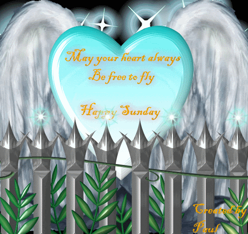 may your heart always be free to fly happy sunday angel wings
