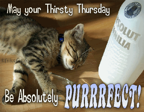 may your thirsty thursday be absolutely perfect Thursday Animal