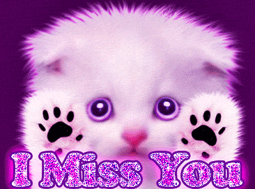 i miss you glitter kitty