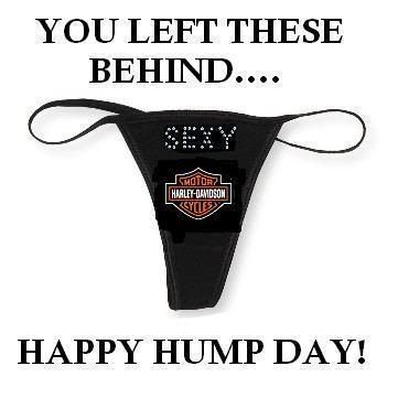 happy hump day Wednesday