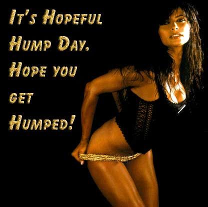 hopeful hump day
