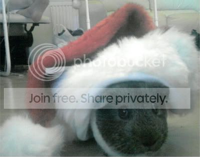 santahat1.jpg