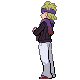 [PokeCommunity.com] Gym Leaders