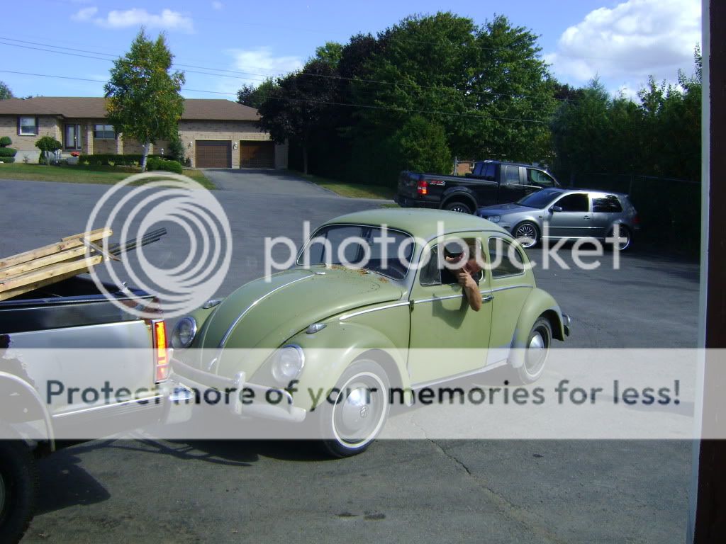Beetle 19581967 View topic Mango Green '60 VW